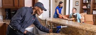 Best Real Estate Pest Inspections  in Lake Hopatcong, NJ