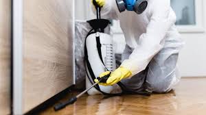 Professional Pest control in Lake Hopatcong, NJ